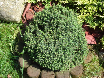Obrzok (4)
