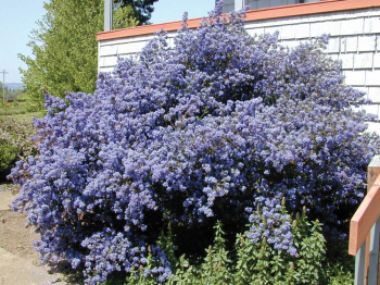 Obrzok (3)