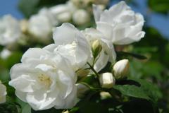 Obr�zok (2)