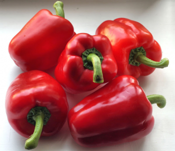 Paprika sladk�  �SWEET BELLS RED�, kont. 1 l