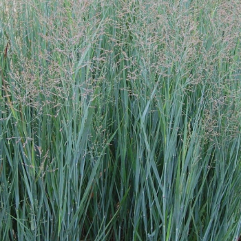 Obrzok (1)