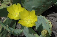 Obr�zok (4)
