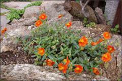Obr�zok (2)