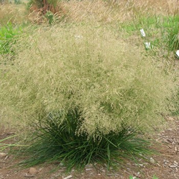 Obrzok (2)