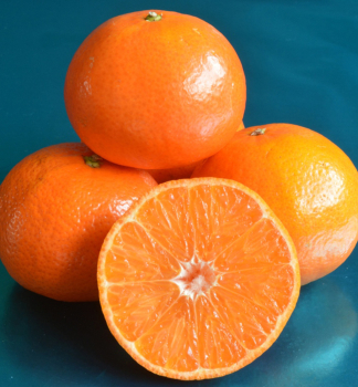Mandarinkovnk OROVAL 40-50 cm, kont. 2 l