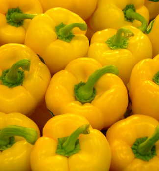 Paprika sladk� �SWEET BELLS YELLOW�, kont. 1 l