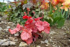 Obr�zok (1)