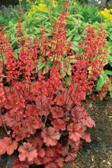 Obr�zok (2)