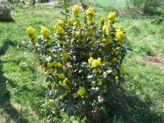 Obr�zok (2)