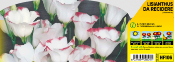 Obr�zok (3)