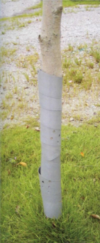 Ochrana strom Green Garden GUARDIAN, 100 cm, 3 ks v balen