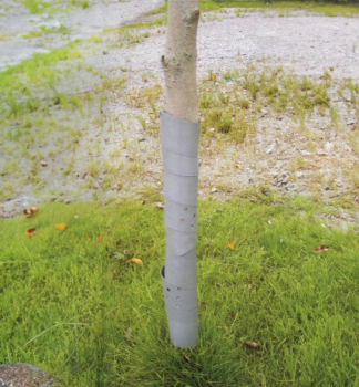 Ochrana strom Green Garden GUARDIAN, 100 cm, 3 ks v balen