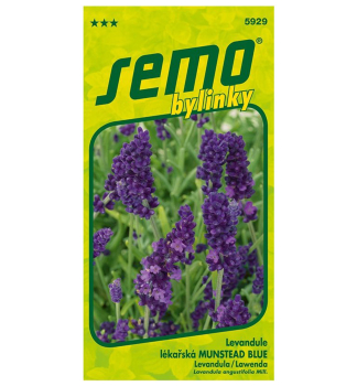 Semena - LEVANDULE L�KA�SK�  �MUNSTED BLUE�