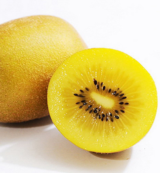Kiwi velkoplod GOLDEN KIWI 20-30 cm, kont 1,6 l