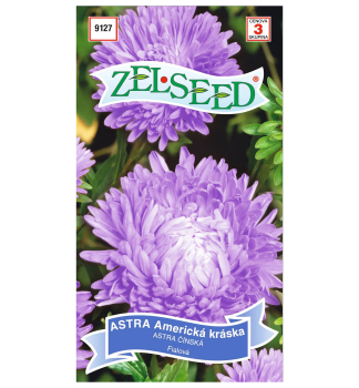 Semena - ASTRA AMERICK� KR�SKA, fialov�