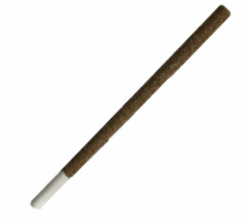 Bambusov opora ke kvtinm 2,5x60 cm