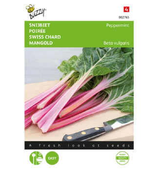 Semena - MANGOLD CHARD PEPPERMINT