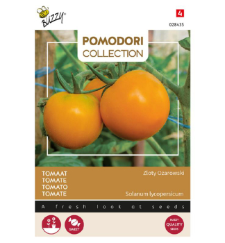 Semena - POMODORI RAJE TYKOV 'ZLOTY OZAROWSKI'/ARANCIA/
