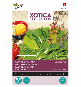 Semena - XOTICA SALT ORIENTAL MIX