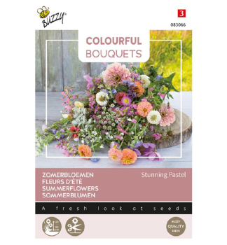 Semena - COLOURFUL �LETN� KV�TINY STUNNING PASTEL�