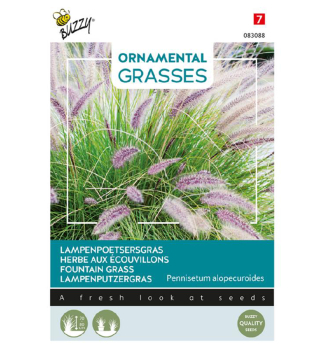 Semena - ORNAMENTAL PEROVEC FOUNTAIN GRASS