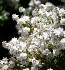 Obr�zok (1)