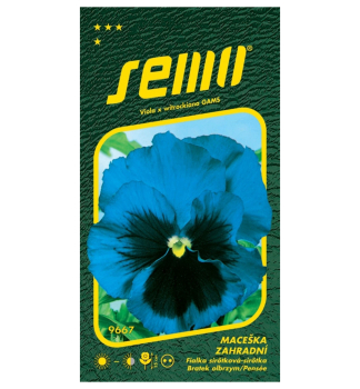 Semena - SIROTKA MODR� S OKEM