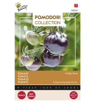 Semena - POMODORI RAJE INDIGO ROSE