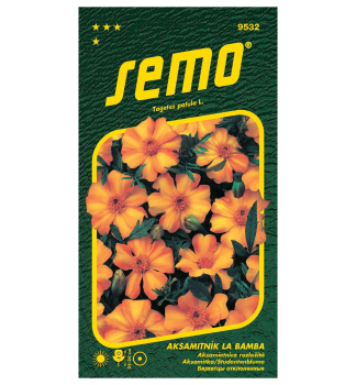 Semena - AKSAMITN�K ROZLO�IT� �LA BAMBA�