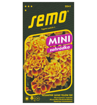 Semena - AKSAMITN�K ROZLO�IT�  �SAFARI YELLOW FIRE�