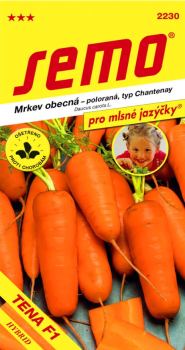 Semena -MRKVA 'TENA F1�