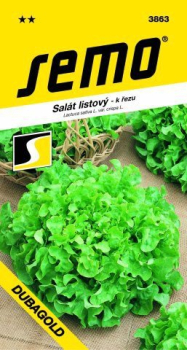 Semen� - SAL�T LISTOV� �DUBAGOLD�