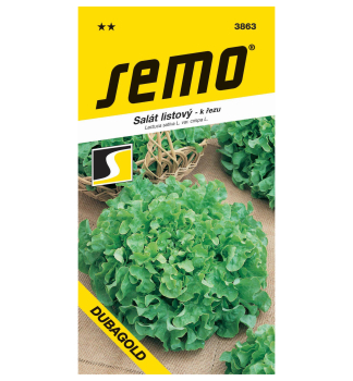 Semen� - SAL�T LISTOV� �DUBAGOLD�