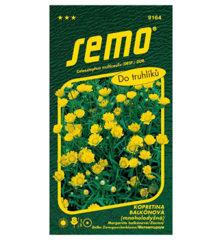 Semena - KOPRETINA BALK�NOV� �ZLATOVL�SKA�