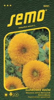 Semena - SLUNE�NICE RO�N� �TEDDY BEAR�