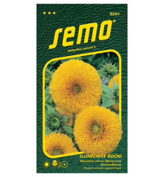 Semena - SLUNE�NICE RO�N� �TEDDY BEAR�