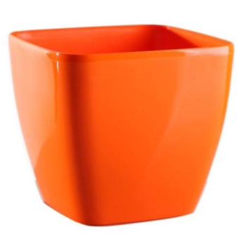 Kv�tin�� �QUEENS� oran�ov� 20 cm