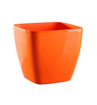 Kv�tin�� �QUEENS� oran�ov� 20 cm