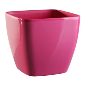 Kv�tin�� �QUEENS� v�nov� 20 cm