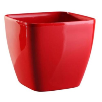 Kv�tin�� �QUEENS� �erven� 20 cm