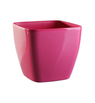 Kv�tin�� �QUEENS� v�nov� 20 cm