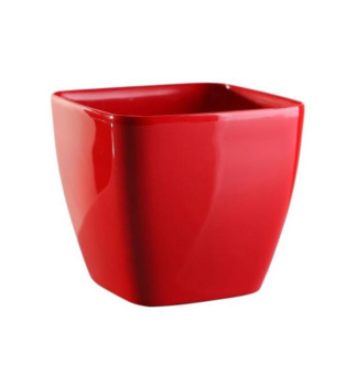 Kv�tin�� �QUEENS� �erven� 20 cm