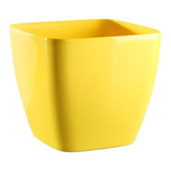 Kv�tin�� �QUEENS� �lut� 20 cm