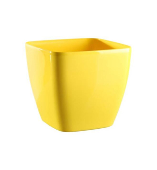 Kv�tin�� �QUEENS� �lut� 20 cm