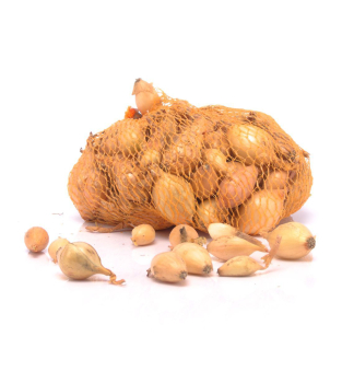 Cibulka saze�ka �CUPIDO� 8-15 mm, 250 g