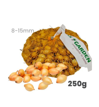 Cibulka saze�ka �CUPIDO� 8-15 mm, 250 g