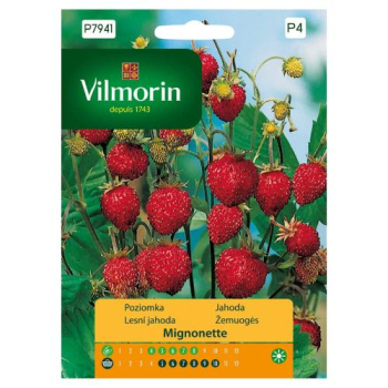 Semena - JAHODN�K LESN� �MIGNONETTE�
