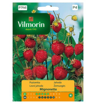Semena - JAHODN�K LESN� �MIGNONETTE�