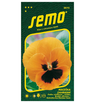 Semena - MACE�KA oran�ov� s okem