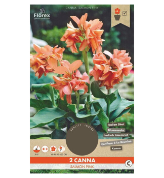 Cibule -Dosna indick� 'SALMON PINK' 2 ks v balen�